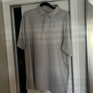 Grey and white Rhoback